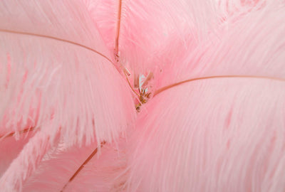 Lampadaire en métal doré et plumes roses