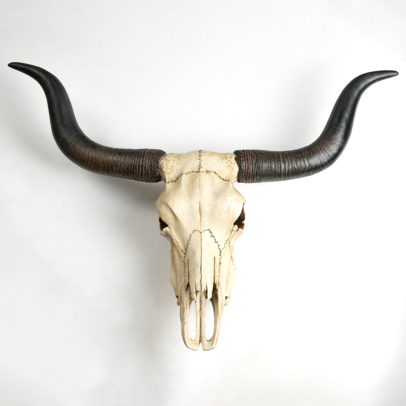 Sculpture Murale de Crane Longhorn (Statue en Resine)