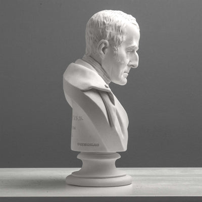 Buste du duc de Wellington – Héros militaire britannique