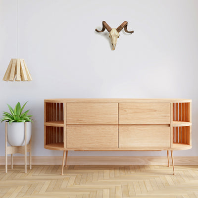 Sculpture Murale de Crane de Belier Mouflon Corse (Statue en Resine)