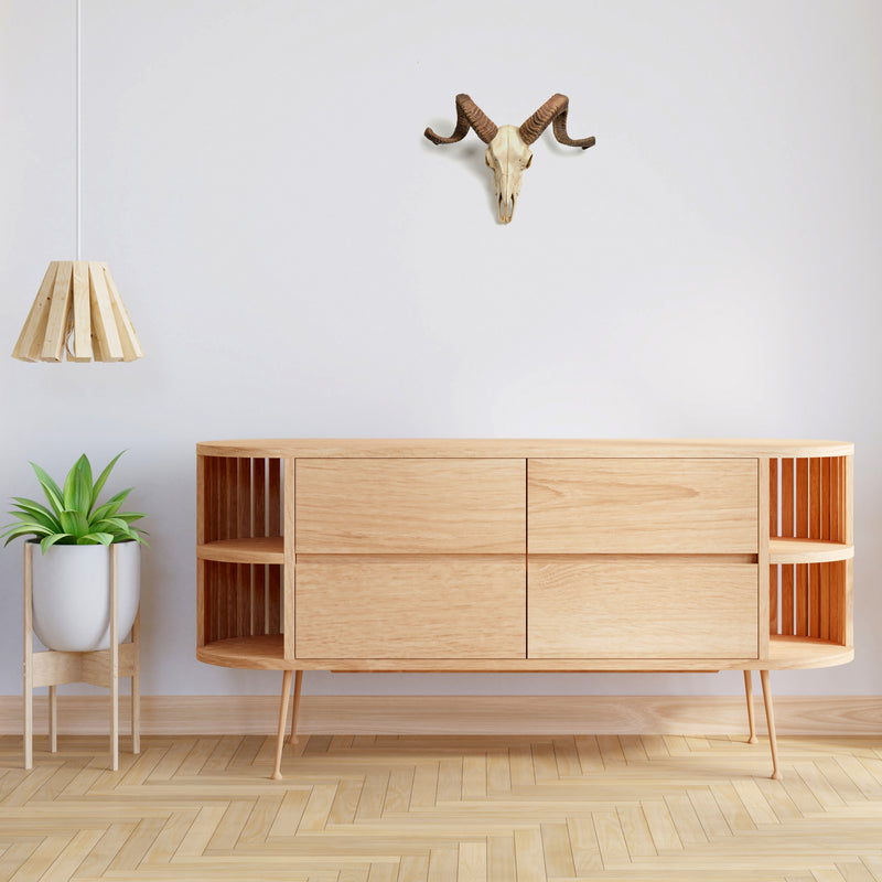 Sculpture Murale de Crane de Belier Mouflon Corse (Statue en Resine)