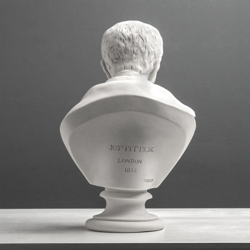 Buste du duc de Wellington – Héros militaire britannique