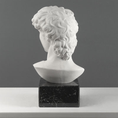 Buste de David par Michel-Ange sur Socle en Marbre Noir (Grand Modèle)