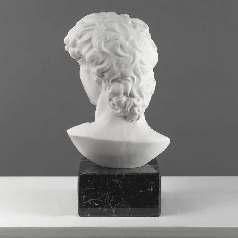 Buste de David par Michel-Ange sur Socle en Marbre Noir (Grand Modèle)