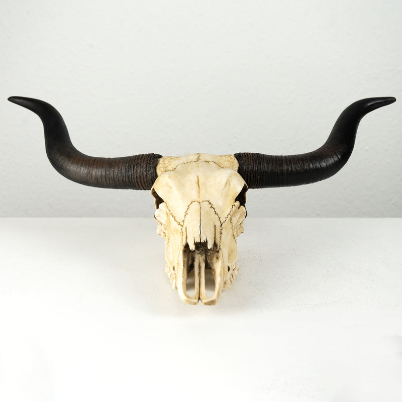 Sculpture Murale de Crane Longhorn (Statue en Resine)