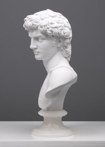 Buste David par Michel-Ange - sculpture en marbre