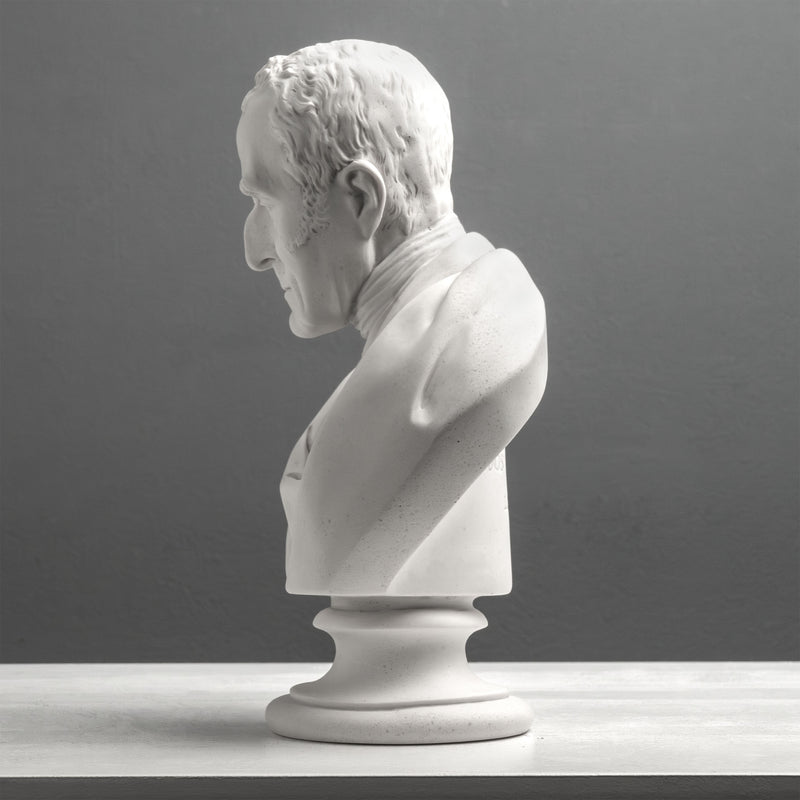 Buste du duc de Wellington – Héros militaire britannique