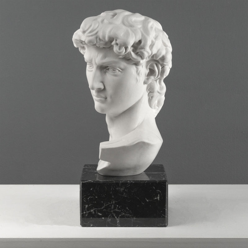 Buste de David par Michel-Ange sur Socle en Marbre Noir (Grand Modèle)