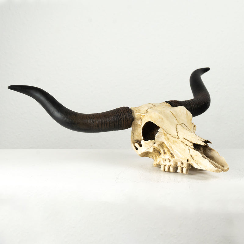 Sculpture Murale de Crane Longhorn (Statue en Resine)