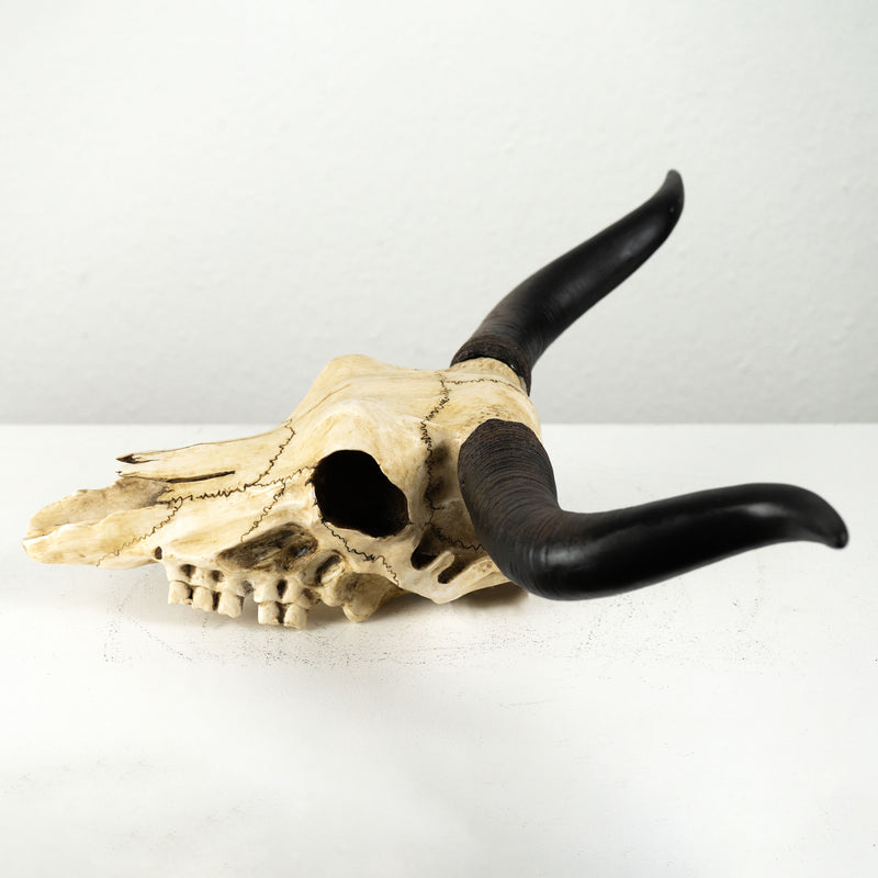 Sculpture Murale de Crane Longhorn (Statue en Resine)