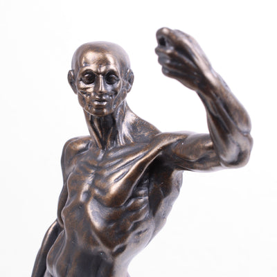 Statue d' Étude Anatomique (Sculpture en bronze coulé à froid par Houdon)