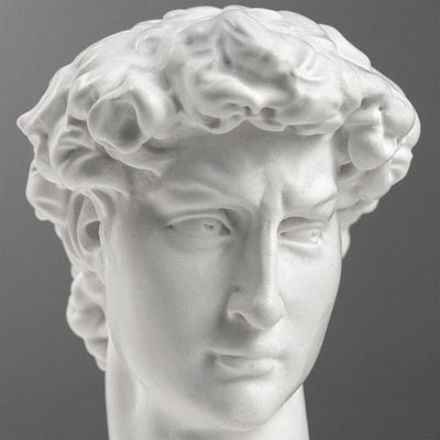 Buste de David par Michel-Ange sur Socle en Marbre Noir (Petit Modèle)