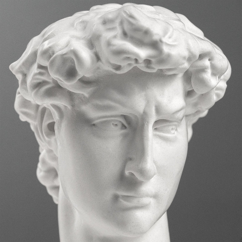 Buste de David par Michel-Ange sur Socle en Marbre Noir (Petit Modèle)