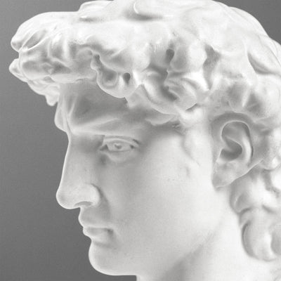 Buste de David par Michel-Ange sur Socle en Marbre Noir (Petit Modèle)