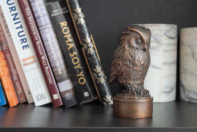 Statue de Hibou de Giambologna (Sculpture en Bronze Coulé à Froid)