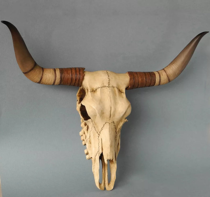 Sculpture Murale de Crâne de Buffle (Statue en Résine)