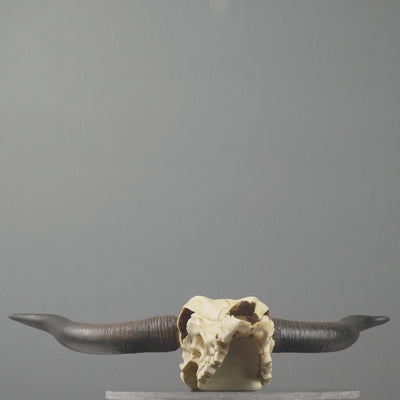 Sculpture Murale de Crane Longhorn (Statue en Resine)