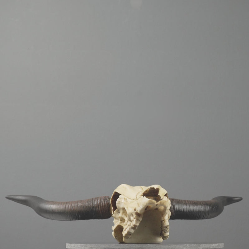 Sculpture Murale de Crane Longhorn (Statue en Resine)