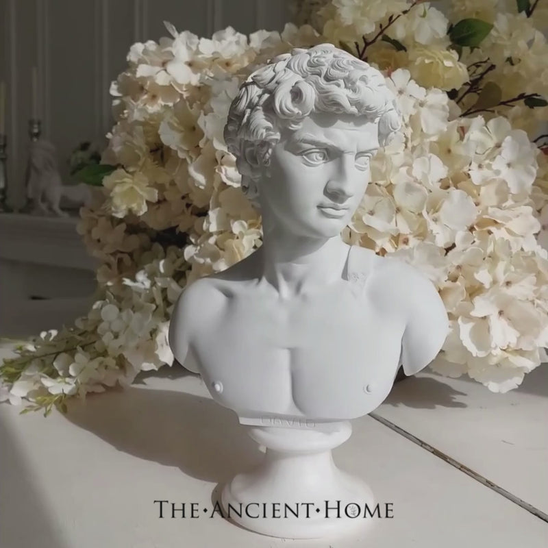 Buste David par Michel-Ange - sculpture en marbre