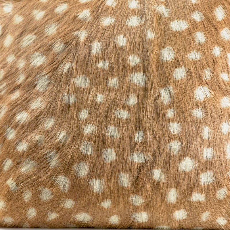 Coussin en Fourrure de Cerf Brun Tacheté (Capra aegagrus hircus)