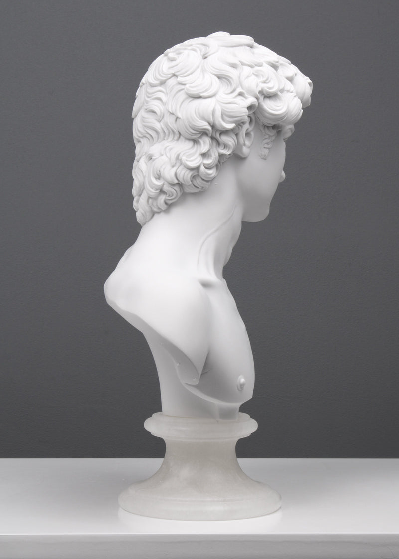 Buste David par Michel-Ange - sculpture en marbre