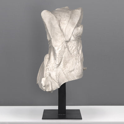 Torse de la Victoire de Samothrace (musée du Louvre) - grande sculpture en marbre blanc