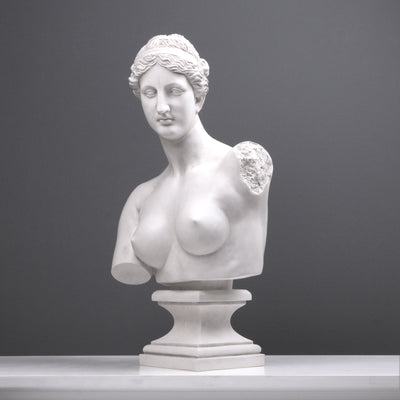 Buste d'Aphrodite (contemporain) - sculpture en marbre